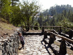 Max on the path to the Pino Gordo pine tree