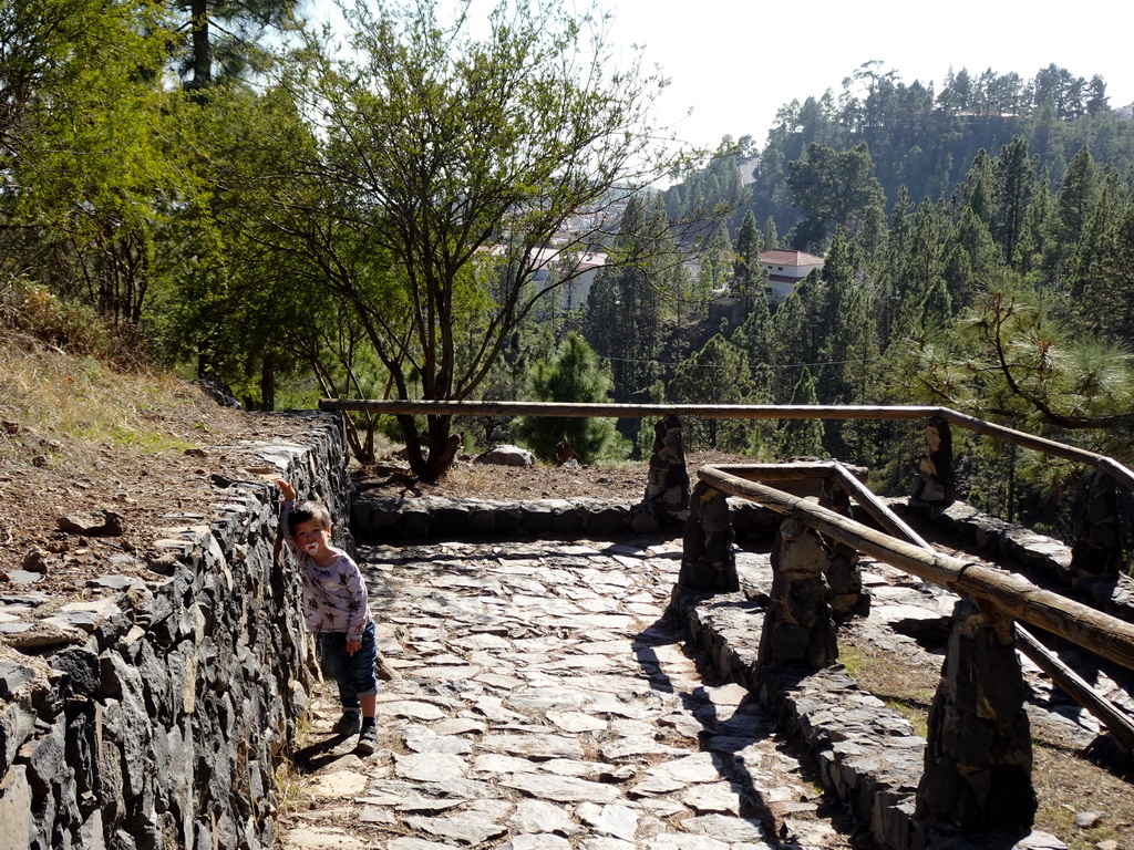 Max on the path to the Pino Gordo pine tree