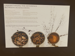 Information on the difference between cacao and cocoa at the Chocolate Story museum at the WOW Cultural District