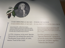 Information on Theobroma Cacao and Carolus Linnaeus at the Chocolate Story museum at the WOW Cultural District