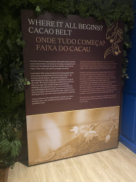 Information on the Cacao Belt at the Chocolate Story museum at the WOW Cultural District