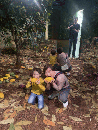 Miaomiao and Max with fake cacao fruits and cacao trees at the Chocolate Story museum at the WOW Cultural District