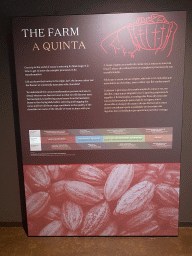 Information on cacao farming at the Chocolate Story museum at the WOW Cultural District