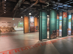 Information on cacao drying and fermentation at the Chocolate Story museum at the WOW Cultural District