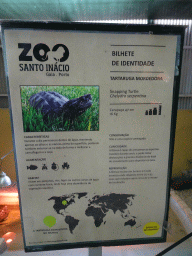 Explanation on the Snapping Turtle at the Reptile House at the Zoo Santo Inácio