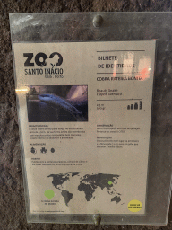 Explanation on the Beauty Snake at the Reptile House at the Zoo Santo Inácio