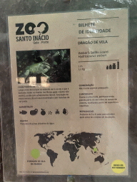 Explanation on the Weber`s Sailfin Lizard at the Reptile House at the Zoo Santo Inácio