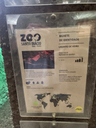 Explanation on the Glass Lizard at the Reptile House at the Zoo Santo Inácio