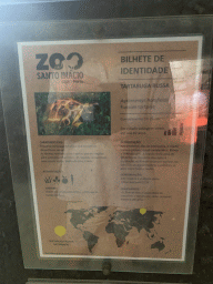 Explanation on the Russian Tortoise at the Reptile House at the Zoo Santo Inácio