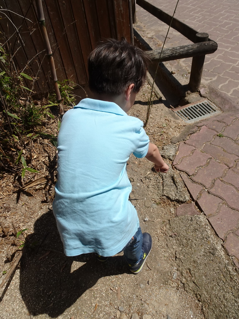 Max with a Lizard at the Zoo Santo Inácio