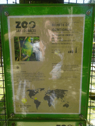 Explanation on the Yellow-shouldered Parrot at the Zoo Santo Inácio