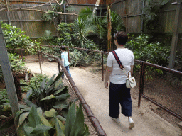 Miaomiao and Max at the Tropical World building at the Zoo Santo Inácio