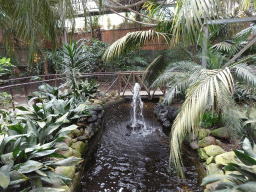 Fountain at the Tropical World building at the Zoo Santo Inácio