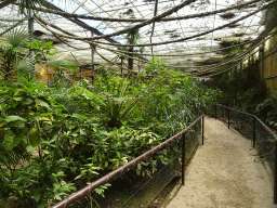 Interior of the Tropical World building at the Zoo Santo Inácio