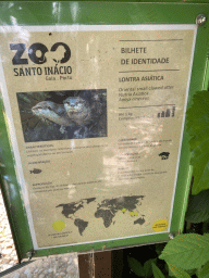 Explanation on the Oriental Small-clawed Otter at the Zoo Santo Inácio