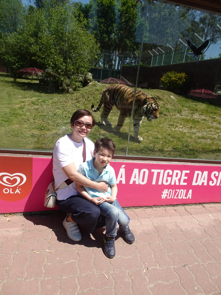 Miaomiao and Max with a Siberian Tiger at the Zoo Santo Inácio