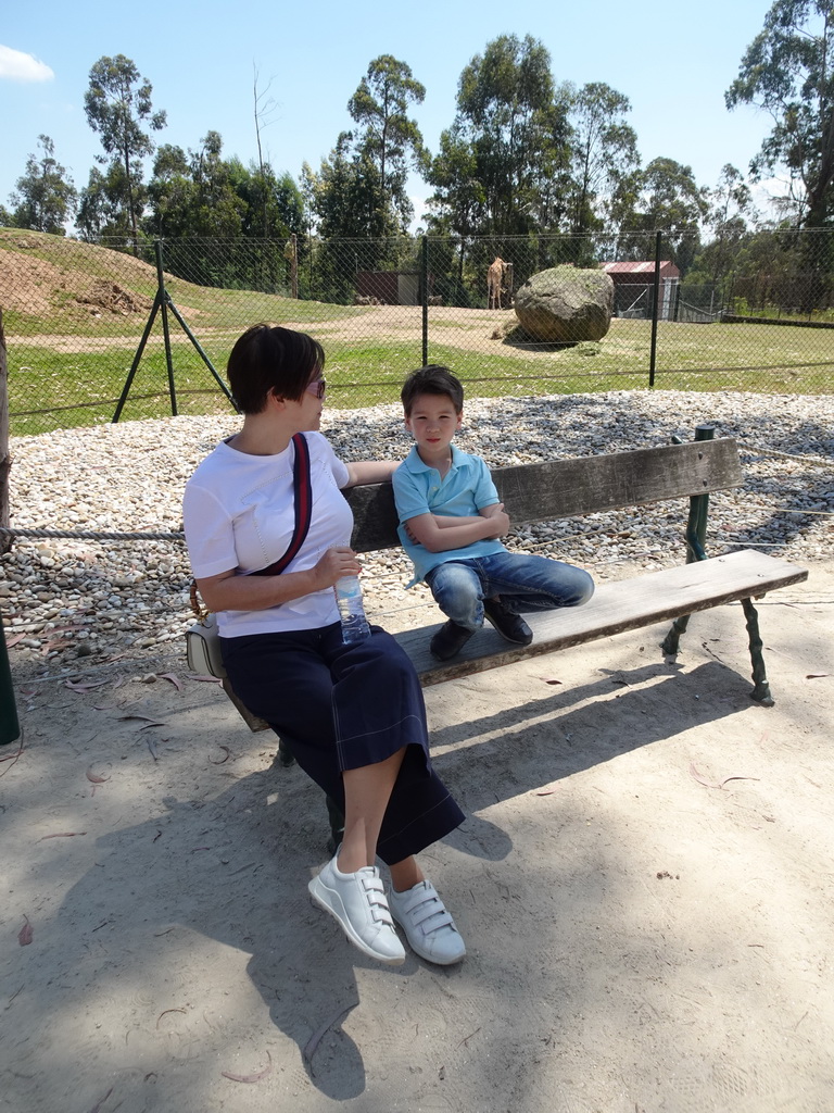 Miaomiao and Max on a bench in front of a Giraffe at the African Savannah area at the Zoo Santo Inácio