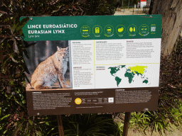 Explanation on the Eurasian Lynx at the Zoo Santo Inácio