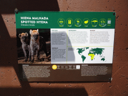 Explanation on the Spotted Hyena at the Zoo Santo Inácio