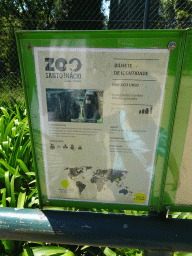 Explanation on the Stump-tailed Macaque at the Zoo Santo Inácio