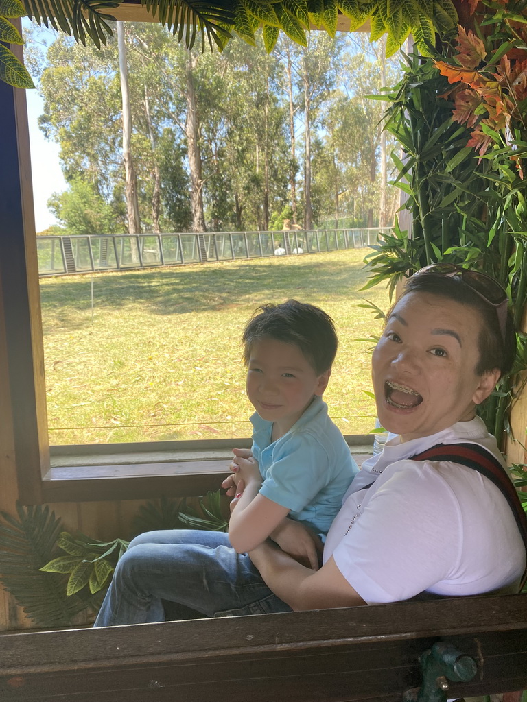 Miaomiao and Max in front of the Asiatic Lions Tunnel and an Asiatic Lion at the Zoo Santo Inácio