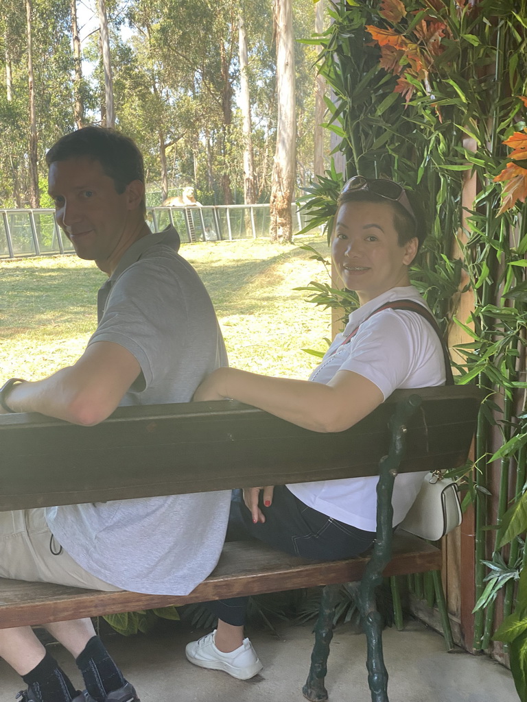 Tim and Miaomiao in front of the Asiatic Lions Tunnel and an Asiatic Lion at the Zoo Santo Inácio