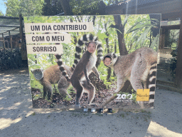 Miaomiao and Max with a cardboard with Ring-tailed Lemurs at the Zoo Santo Inácio
