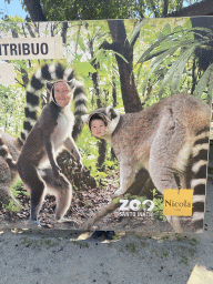 Tim and Max with a cardboard with Ring-tailed Lemurs at the Zoo Santo Inácio