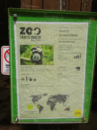 Explanation on the Emperor Tamarin at the Zoo Santo Inácio