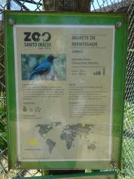Explanation on the Common Raven at the Zoo Santo Inácio