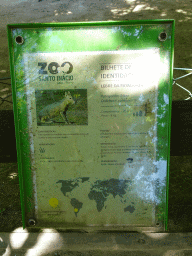 Explanation on the Patagonian Mara at the Zoo Santo Inácio