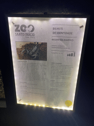 Explanation on the Asiatic Scorpion at the Nightlife building at the Zoo Santo Inácio