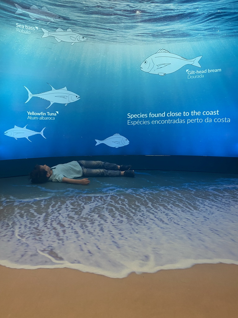 Max with information on species found close to the coast at the Porto Region Across the Ages museum at the WOW Cultural District