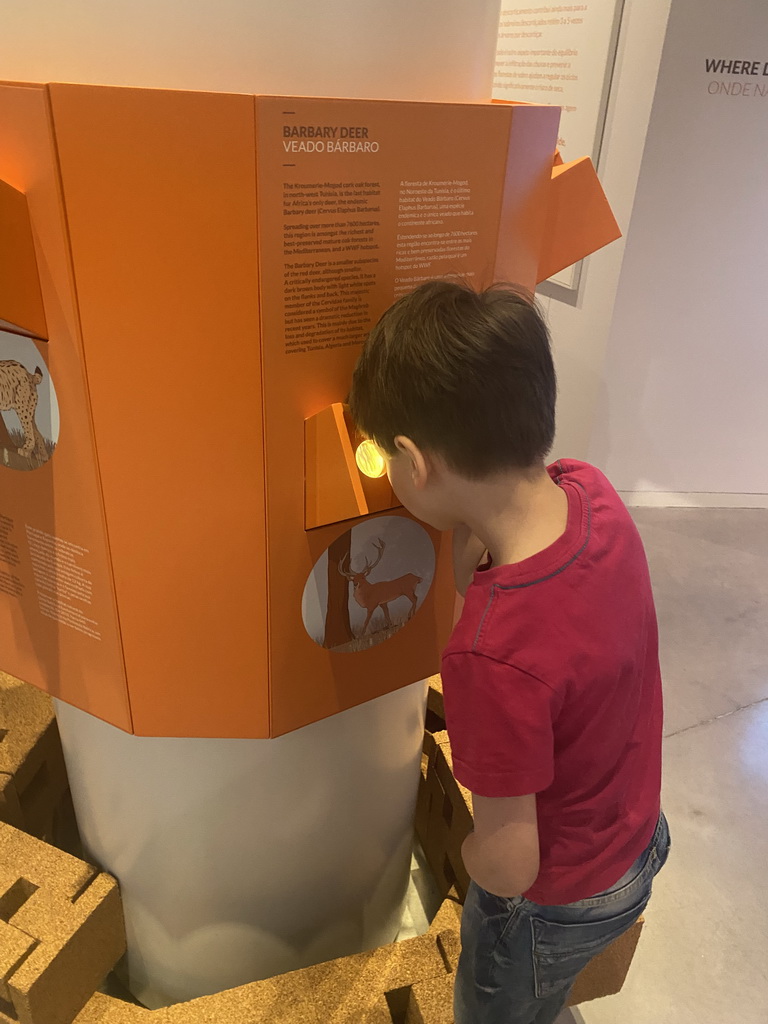 Max with information on a Barbary Deer at the Planet Cork museum at the WOW Cultural District