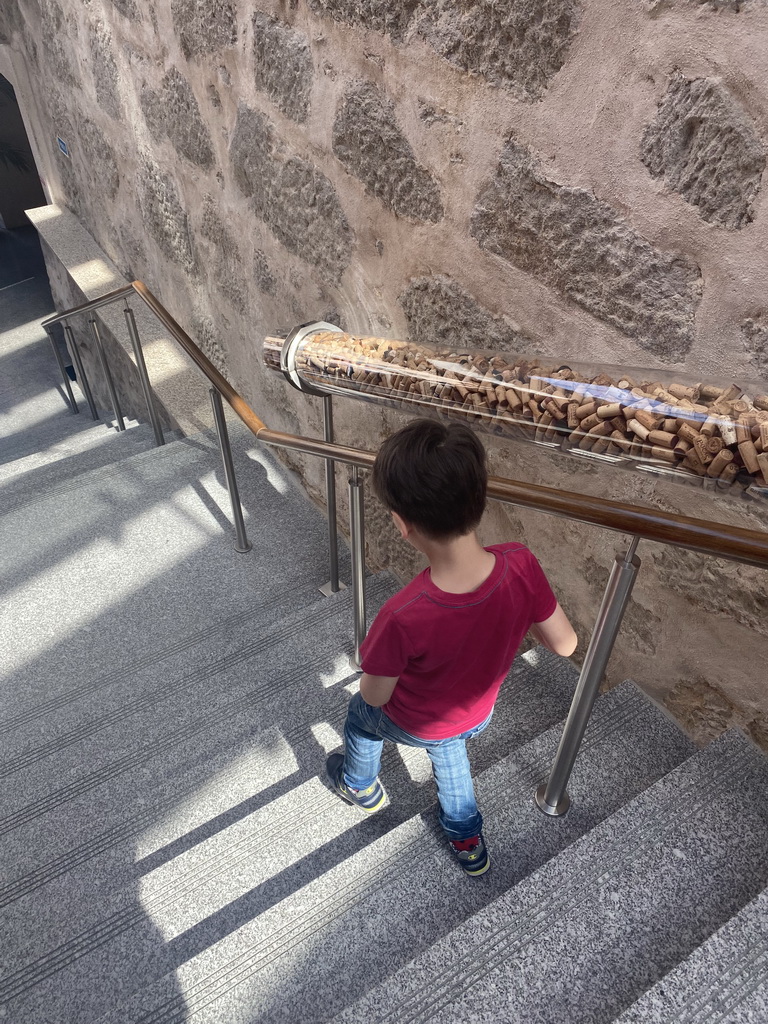 Max on the staircase at the Planet Cork museum at the WOW Cultural District