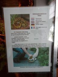 Explanation on the Taiwanese Beauty Snake at the Iguana Reptile Zoo