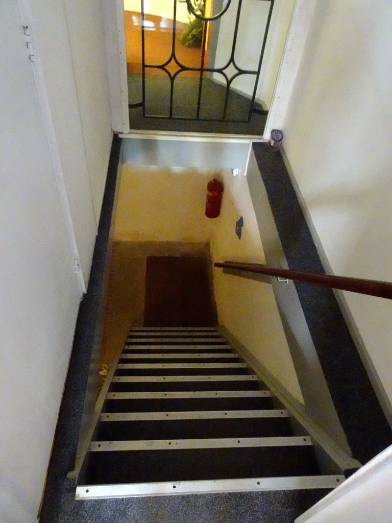 Staircase at the Iguana Reptile Zoo