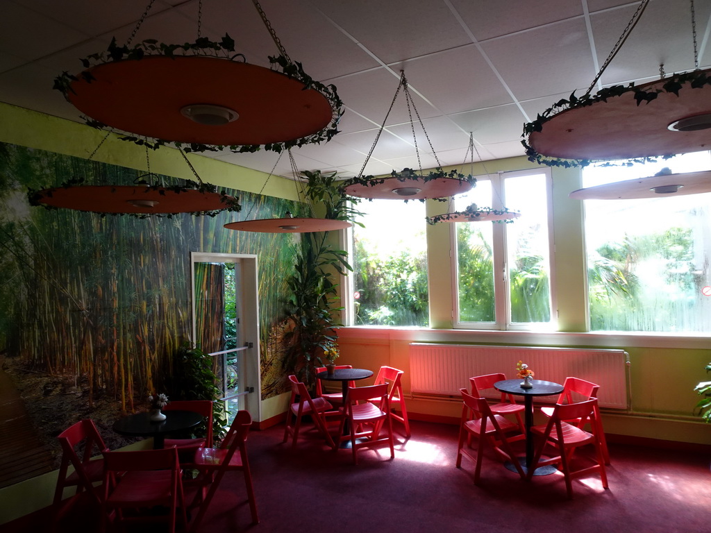 Interior of the coffee room at the Iguana Reptile Zoo