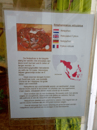 Explanation on the Reticulated Python at the Iguana Reptile Zoo