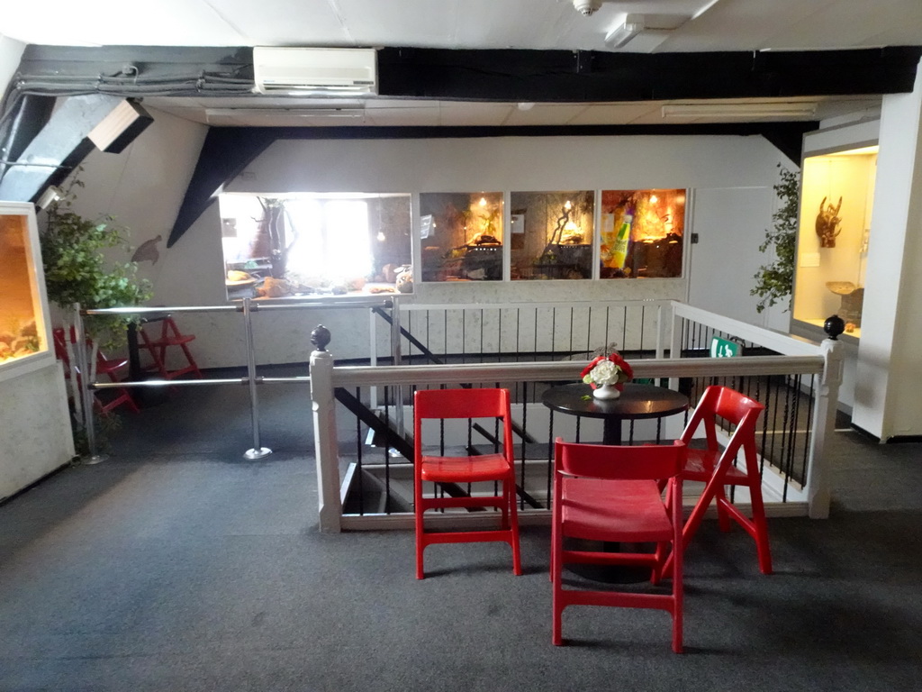 Interior of a room at the first floor of the Iguana Reptile Zoo