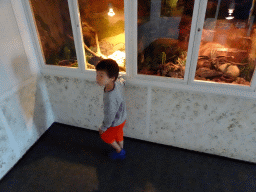 Max in a room at the first floor of the Iguana Reptile Zoo