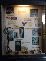 Items and information on snakes at the Iguana Reptile Zoo