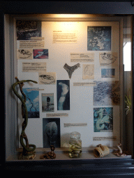 vlissingen_2_061 - 246 kb - 768x1024 - Items and information on snakes at the Iguana Reptile Zoo Items and information on snakes at the Iguana Reptile Zoo