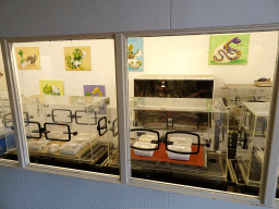 vlissingen_2_064 - 280 kb - 1024x768 - Delivery Room at the Iguana Reptile Zoo Delivery Room at the Iguana Reptile Zoo