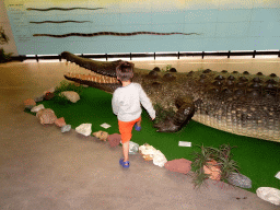 vlissingen_2_070 - 287 kb - 1024x768 - Max with a stuffed Crocodile at the Iguana Reptile Zoo Max with a stuffed Crocodile at the Iguana Reptile Zoo