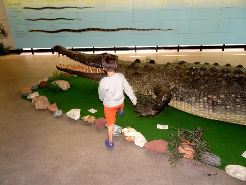 Max with a stuffed Crocodile at the Iguana Reptile Zoo