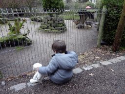 Max with the Patagonian Maras at the Zie-ZOO zoo