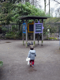 Max with Helmeted Guineafowls at the Zie-ZOO zoo