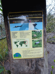 Explanation on the Red-crowned Crane at the Zie-ZOO zoo