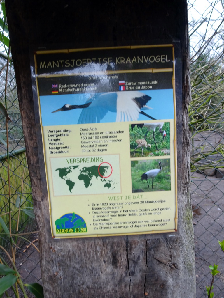 Explanation on the Red-crowned Crane at the Zie-ZOO zoo